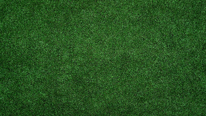 Artificial Grass by Hali Flooring