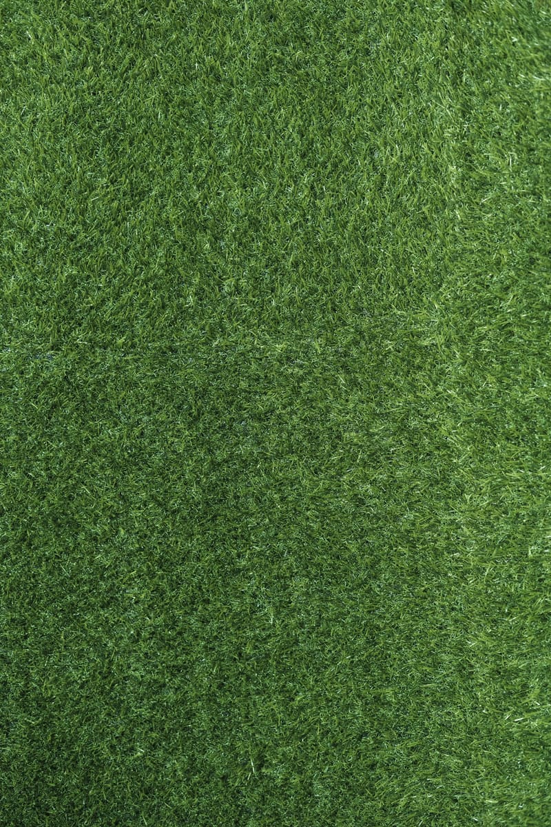 Artificial Grass detail